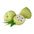 تره بار