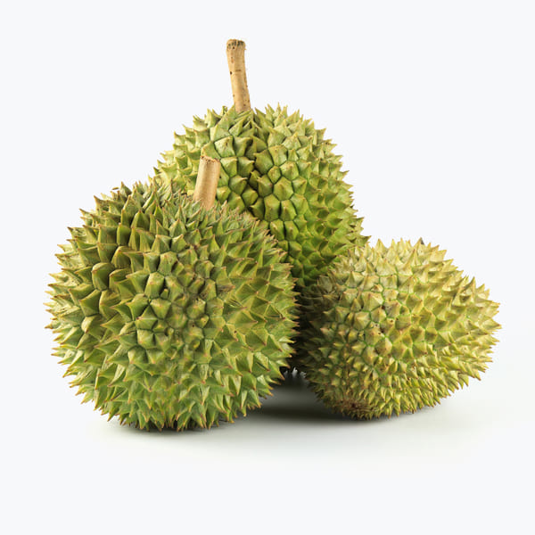 شوینده